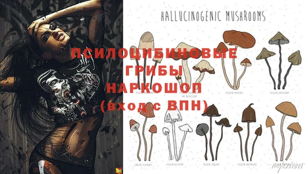 мескалин Абинск
