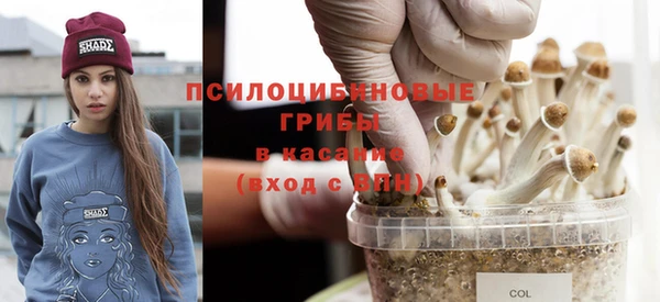 экстази Абаза