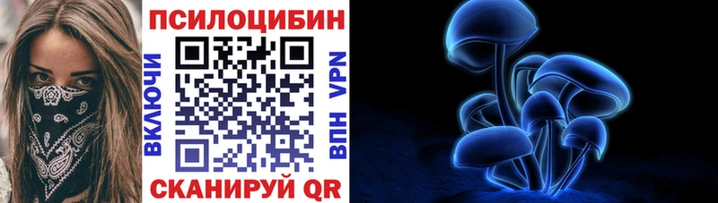 как найти закладки  Краснодар  Псилоцибиновые грибы мицелий 