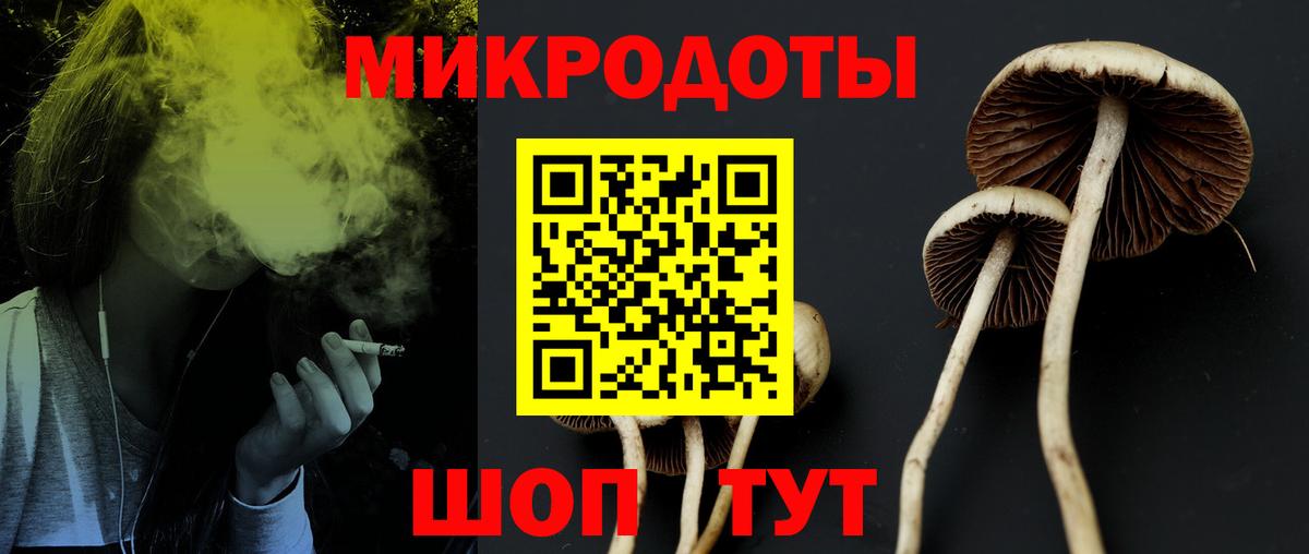 Краснодар  Галлюциногенные грибы прущие грибы  Вход с VPN 